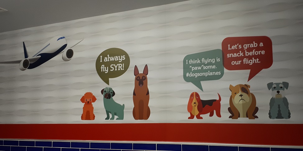 Dog-Relief-Center