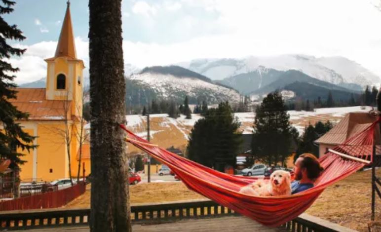hostels-for-pets